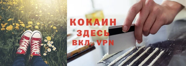 сатива Баксан