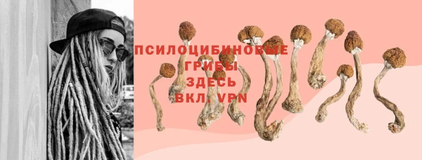 сатива Баксан
