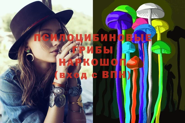 сатива Баксан