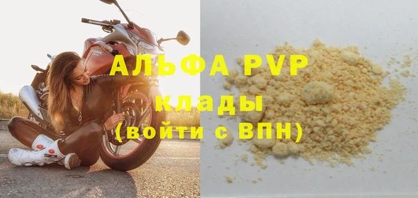 стаф Балахна